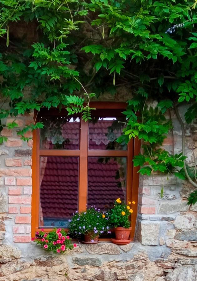 Pension Fanlor Zubcicka Lhotka Buitenkant foto