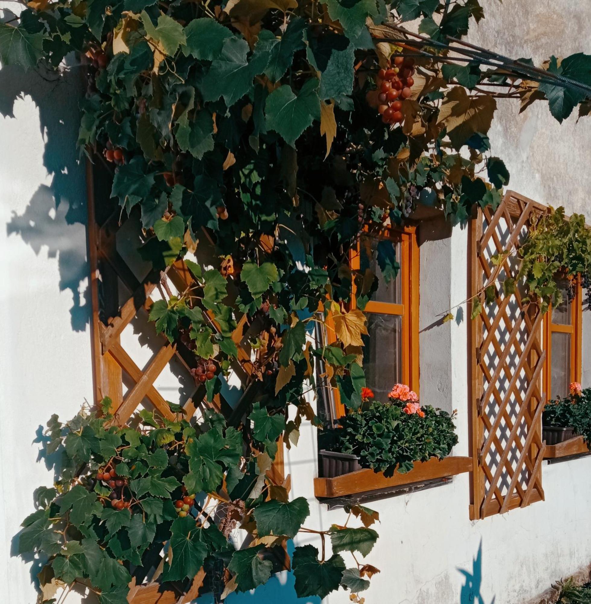 Pension Fanlor Zubcicka Lhotka Buitenkant foto